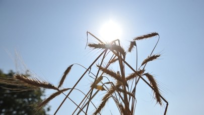 Ochłodzenia na horyzoncie nie widać. Upały nie odpuszczą przez co najmniej 2 tygodnie