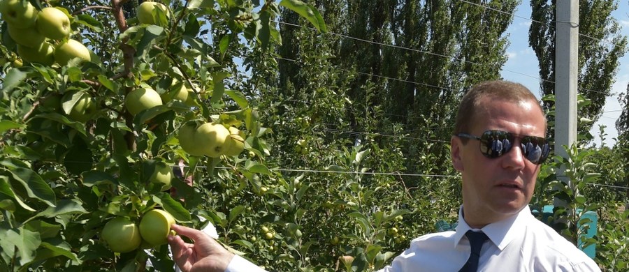 Premier Rosji oświadczył, że "Polacy jabłka wysyłane na eksport oblewają chemikaliami, a sami jedzą te dobre". Dmitrij Miedwiediew przekonywał przy tym, że zagraniczną żywność, niszczoną w ramach embarga, mogą z powodzeniem zastąpić produkty rosyjskie. 