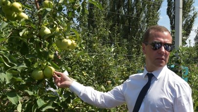 Premier Rosji: Polacy oblewają chemikaliami jabłka przeznaczone na eksport 