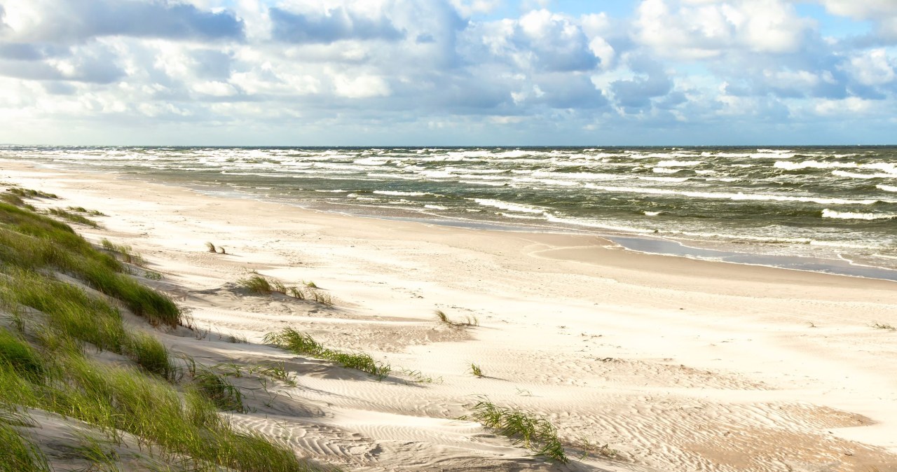 ​Ta pusta plaża z białym piaskiem leży nad Bałtykiem. Jest choćby delfinarium