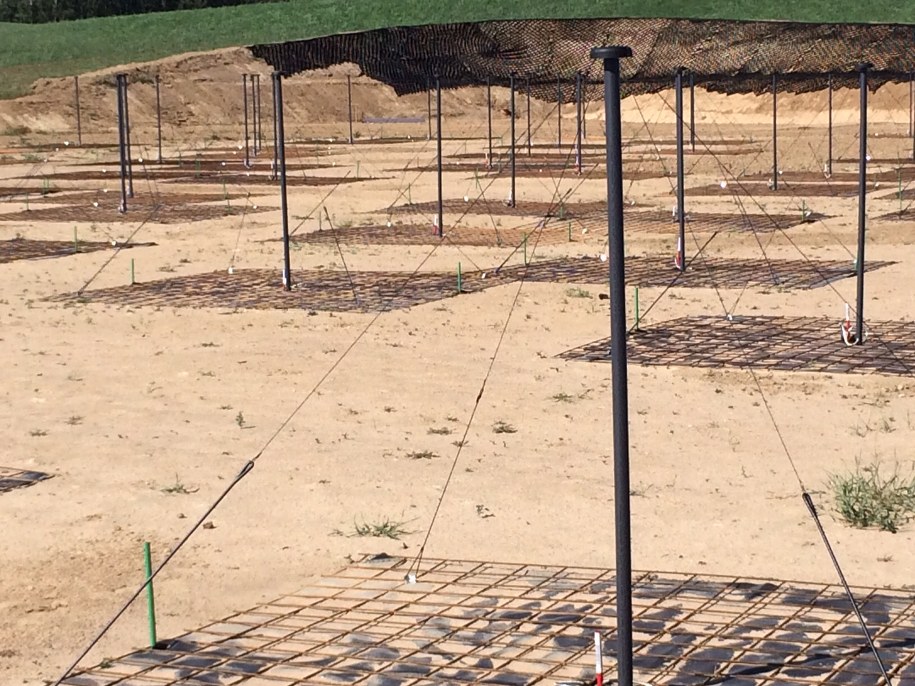 / /Piotr Bułakowski /RMF FM