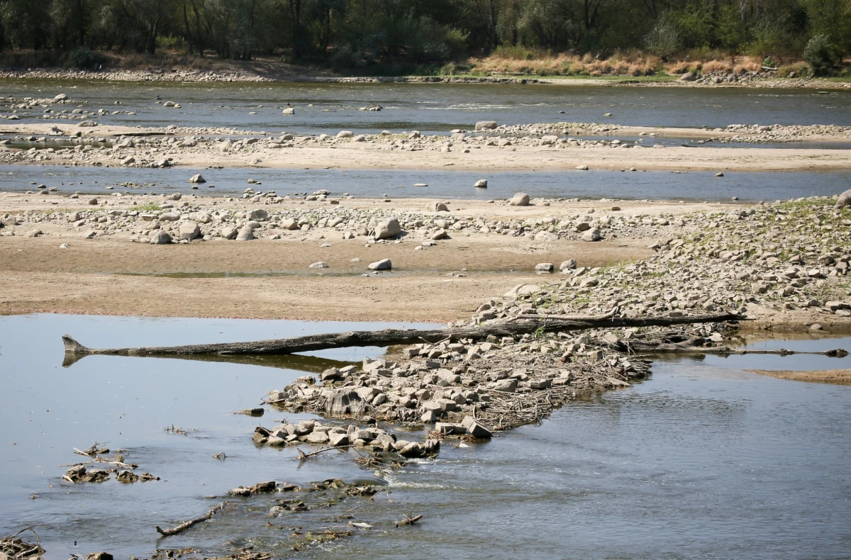 To bombowiec Petlakow Pe-2, który zmierzał najprawdopodobniej na lotnisko polowe między Wyszogrodem a Warszawą - takie są najnowsze ustalenia w sprawie maszyny z czasów II wojny światowej, wydobytego ze starorzecza Bzury. Części samolotu, a także szczątki pilotów odnaleziono i przewieziono do muzeum. Poszukiwania będą kontynuowane. 