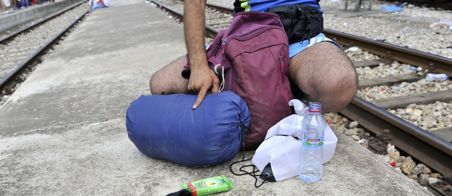 Czworo obywateli Syrii, którzy próbowali nielegalnie przedostać się do Niemiec, zatrzymała straż graniczna. Jak dowiedział się reporter RMF FM, to członkowie grupy uchodźców, którzy przyjechali do naszego kraju na zaproszenie Fundacji Estera.