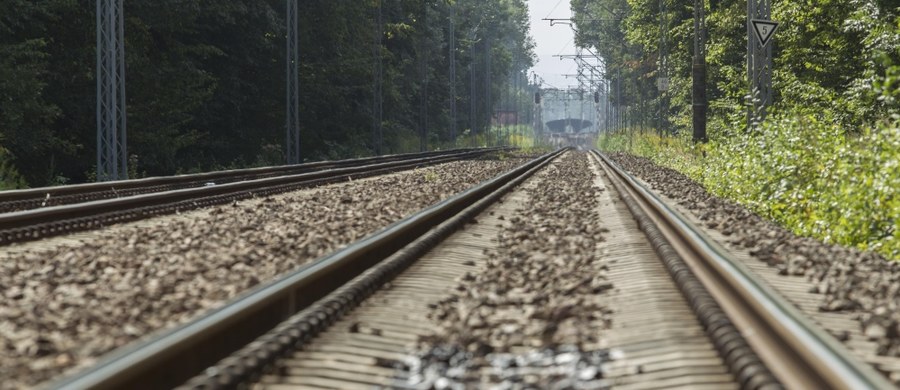 Na 65. kilometrze trasy kolejowej Wrocław -- Jelenia Góra pojawiły się policyjne patrole. To prawdopodobnie tam między Świebodzicami  a Wałbrzychem jest poszukiwany "złoty pociąg".