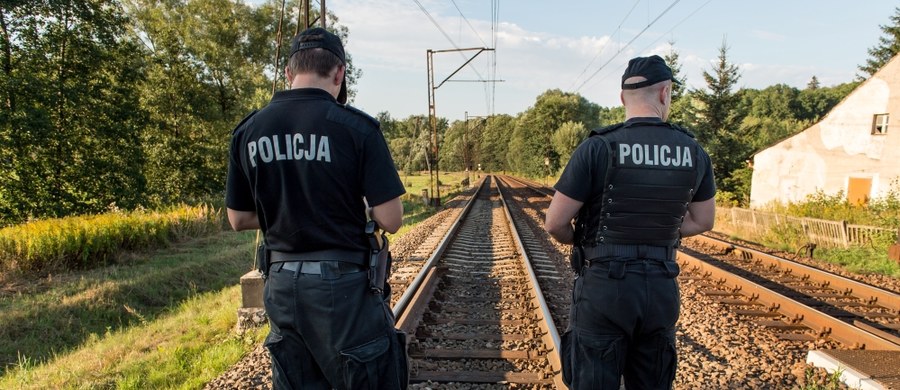 Władze wzmacniają ochronę obszarów w okolicach Wałbrzycha, gdzie może być ukryty złoty pociąg z czasów II Wojny Światowej. Policjanci, strażnicy kolejowi i miejscy mają pilnować terenów wzdłuż trasy kolejowej ze Świebodzic do Wałbrzycha. Natomiast nadleśnictwo wprowadzi zakaz wstępu do lasu. 