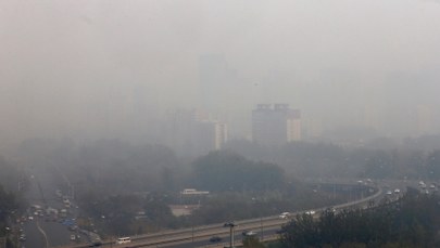 Smog szkodliwy nawet dla młodego serca