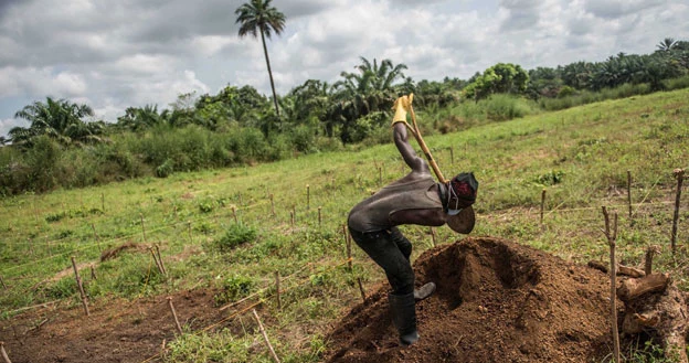 Pogrzeb kobiety, która chorowała na Ebolę, Sierra Leone, grudzień 2014