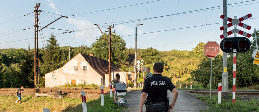 "Sprawa złotego pociągu to w tej chwili bardziej wiara, nadzieja i zaufanie w jakieś legendy. (...) Dzielimy się na tych, którzy wierzą mocniej i na tych, którzy są sceptykami. Niektórzy wierzą, inni nie wierzą, wiedzy nie mamy żadnej" - powiedziała szefowa resortu kultury Małgorzata Omilanowska.  "Urzędnicy ministerstwa atakowani są przez media zaproszeniami do studiów filmowych, do radia, do udzielania wywiadów. Telefony rozlegają się w różnych departamentach. My jesteśmy urzędem, który ma zadania do wykonania i bardzo trudno mi wyobrazić sobie, żeby kilkudziesięciu pracowników ministerstwa wypowiadało się do mediów na temat, na który nie mają zielonego pojęcia" – dodała.