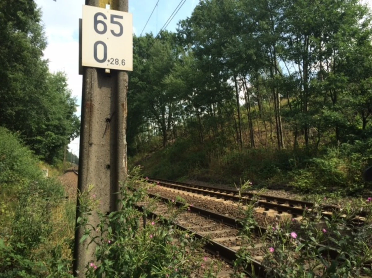 Przynajmniej 70 tysięcy złotych będzie kosztować akcja sprawdzenia terenu w Wałbrzychu, gdzie ma być ukryty pancerny pociąg z okresu II wojny światowej. Żołnierze będą szukali niebezpiecznych materiałów, w tym min. 