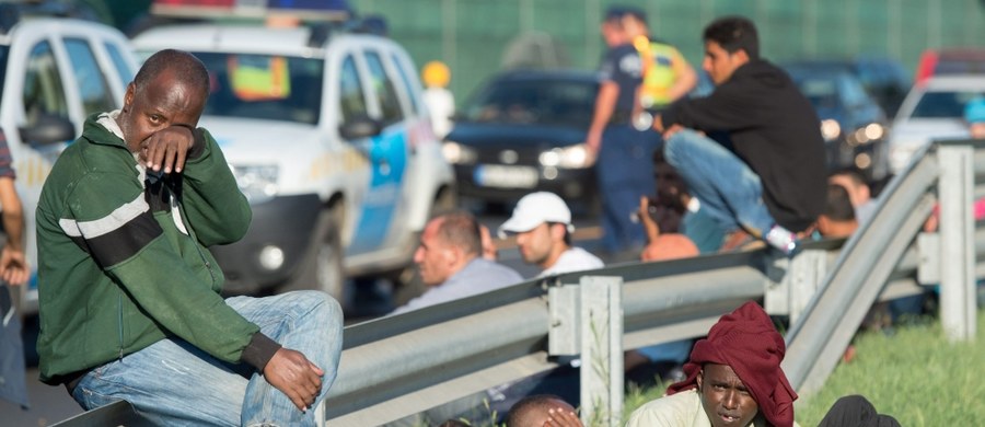 Premierzy państw Grupy Wyszehradzkiej, którzy obradowali w Pradze na nadzwyczajnym spotkaniu poświęconym migracji, przyjęli oświadczenie, w którym podkreślili, że napływ imigrantów stanowi złożone, poważne wyzwanie dla UE i jej państw członkowskich. Podkreślili, że Węgry są jednym z krajów "najbardziej wystawionych na presję migracyjną". Po spotkaniu premier polskiego rządu Ewa Kopacz oświadczyła, że w sprawie imigrantów rozwiązania, które nie biorą pod uwagę możliwości poszczególnych państw członkowskich UE, mogą okazać się kontrproduktywne.