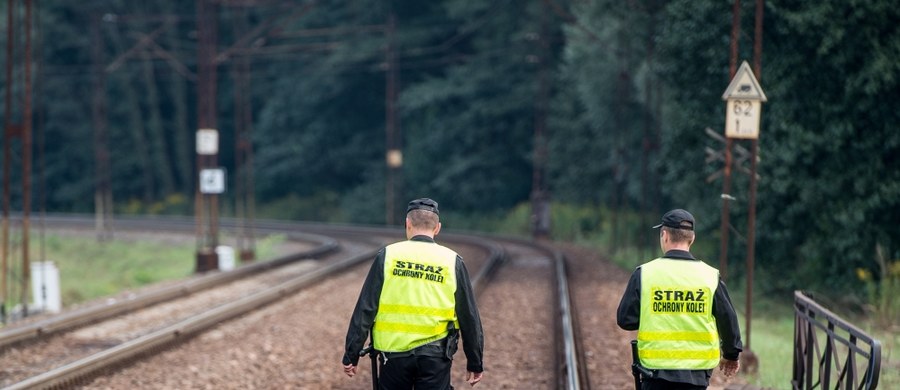 Stowarzyszenie Dolnośląska Grupa Badawcza wykluczyło swoich dotychczasowych członków Piotra Kopra i Andreasa Richtera. To ci mężczyźni twierdzą, że wiedzą, gdzie znajduje się "złoty pociąg". 