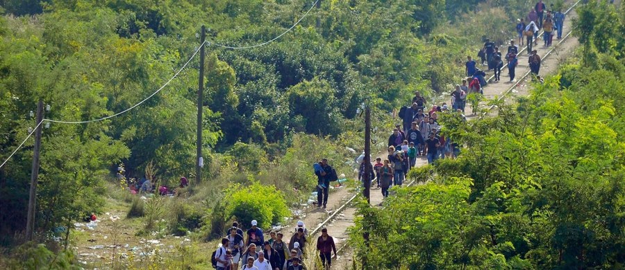 Czechy wzmocnią patrole policyjne na granicy z Austrią w związku z decyzją Niemiec o wprowadzeniu tymczasowych kontroli granicznych ze względu na napływ migrantów. Informację podał czeski minister spraw wewnętrznych Milan Chovanec.