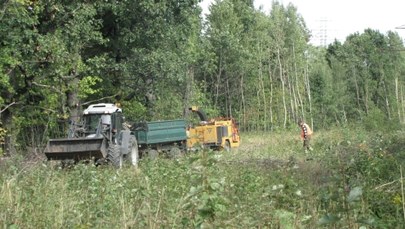 Poszukiwania „złotego pociągu”. Porządki na skarpie