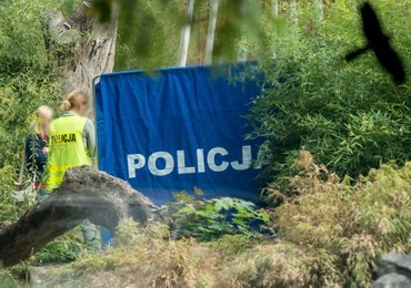 Tragiczny wypadek we wrocławskim zoo