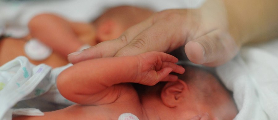 Ledwie rodzice oswoili się z myślą o bliźniakach, okazało się, że pod nimi jest jeszcze jeden maluch. Czwarte trojaczki w ciągu roku urodziły się w szpitalu na Pomorzanach. Marysia, Marika i Michalina przyszły na świat 15 września. Dziewczynki i ich mama czują się dobrze. 