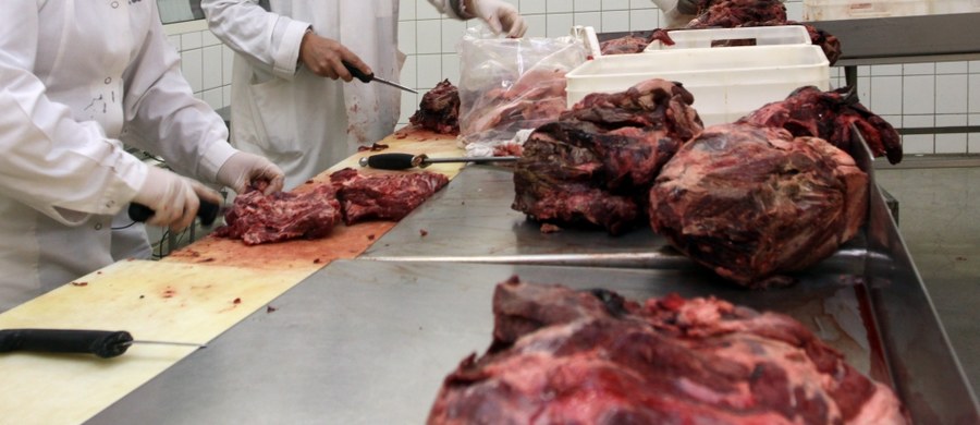 Na rynek trafiło około tysiąca kilogramów mięsa z dzika, które może być zakażone włośnicą - alarmuje mazowiecka policja. Zatrzymano mężczyznę, który handlował tą dziczyzną. Jak donosi reporter RMF FM Krzysztof Zasada, z ustaleń policji wynika, że 38-latek z Radomia dostarczał mięso do restauracji w Warszawie i okolicach. Prokuratura wszczęła śledztwo w tej sprawie.