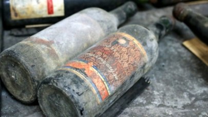 Na tropie kolekcji najstarszych win świata. Trzy dni Niemcy wywozili je ciężarówkami 