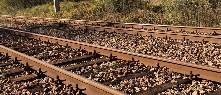 Do tragicznego wypadku doszło w okolicy miejscowości Szewce na Dolnym Śląsku. Dwie młode dziewczyny zostały potrącone przez pociąg TLK Rozewie relacji Gdynia - Wrocław. Jedna z nich zmarła, druga walczy o życie.