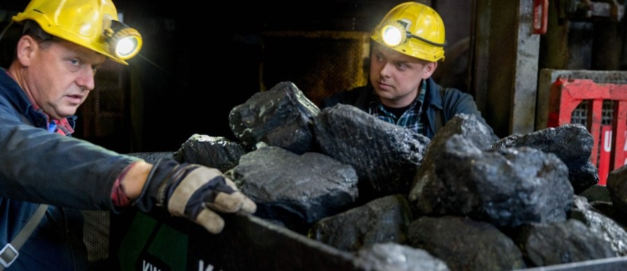 Spółka Silesia przejmie 11 kopalń Kompanii Węglowej, co ma być podstawą do budowy silnego koncernu paliwowo-energetycznego - przewiduje przyjęty przez rząd plan dla górnictwa. To działanie doraźne - oceniają eksperci. Kpina z górników - uważają związkowcy.