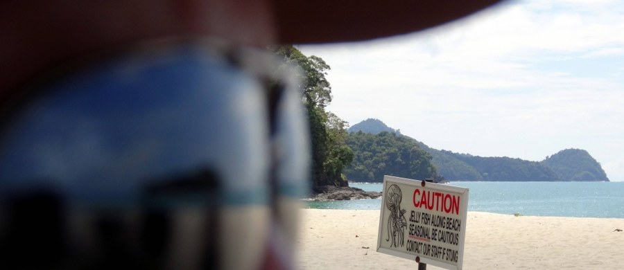 ​Zmarła 20-letnia turystka z niemieckiej Getyngi, dotknięta w Tajlandii przez jadowitą meduzę - poinformowała tajlandzka policja. Do wypadku doszło we wtorkowy wieczór na popularnej w wakacje wyspie Koh Samui w Zatoce Tajlandzkiej.