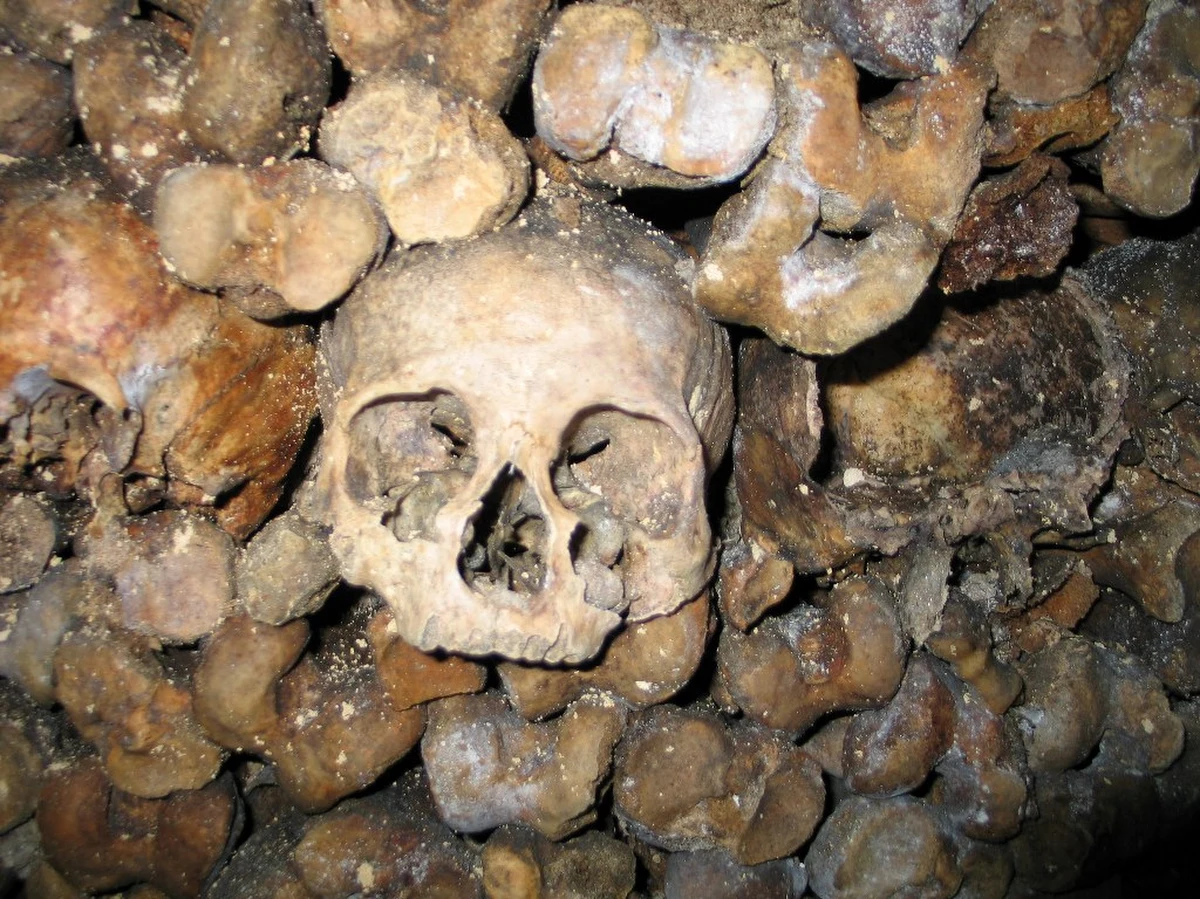 Darmowy nocleg dla dwóch osób w paryskich katakumbach w Halloween – wśród milionów czaszek! To nietypowa i kontrowersyjna oferta firmy, która wynajęła na halloweenową noc słynną podziemną nekropolię za 350 tysięcy euro od władz Paryża.