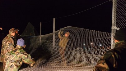 Węgry przywracają kontrole na granicy ze Słowenią