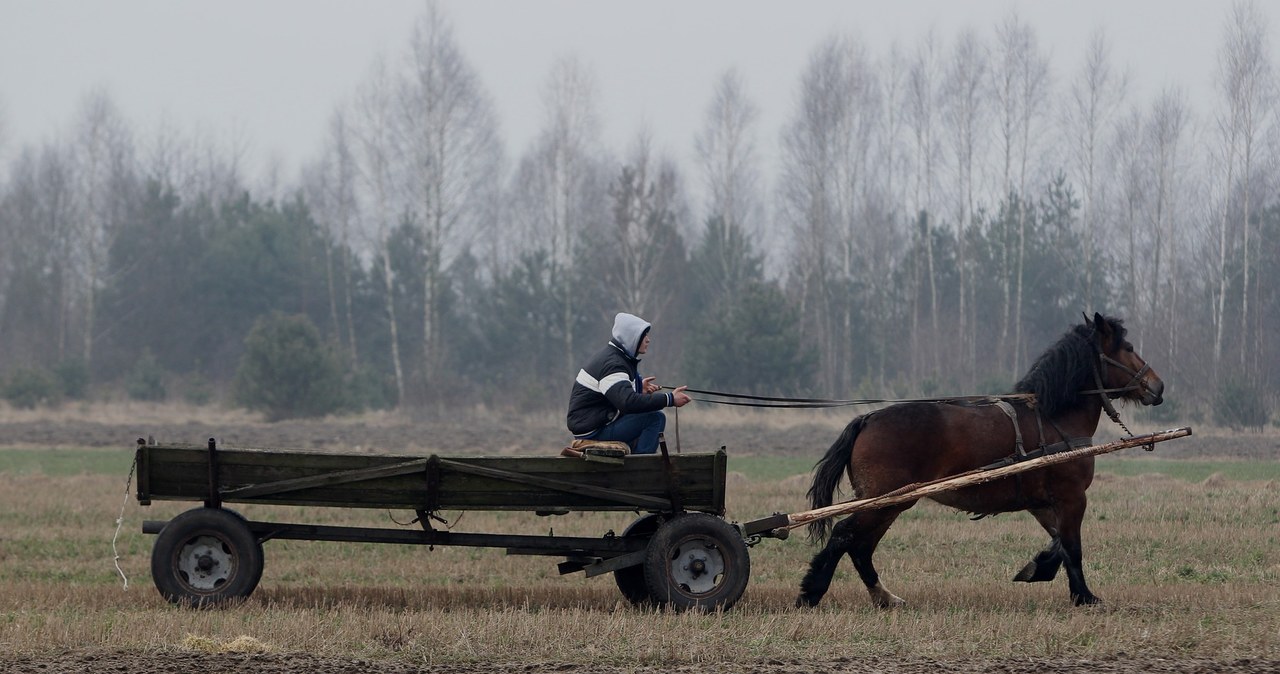 . /Fot. Stanisław Kowalczuk /East News