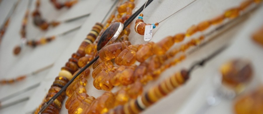 Wszystko wskazuje na to, że bursztynu mamy bardzo dużo, przynajmniej setki tysięcy ton – mówi "Dziennikowi Polskiemu" dr Lucjan Gazda z Politechniki Lubelskiej. Gazeta podkreśla, że pokłady jantaru znajdują się na północnej Lubelszczyźnie, bo tam przyniósł go ok. 40 mln lat temu lądolód. ​Potwierdziły to zakończone badania prowadzone w terenie przez krakowską firmę Stellarium we współpracy z naukowcami z Wydziału Geologii, Geofizyki, Ochrony Środowiska AGH.