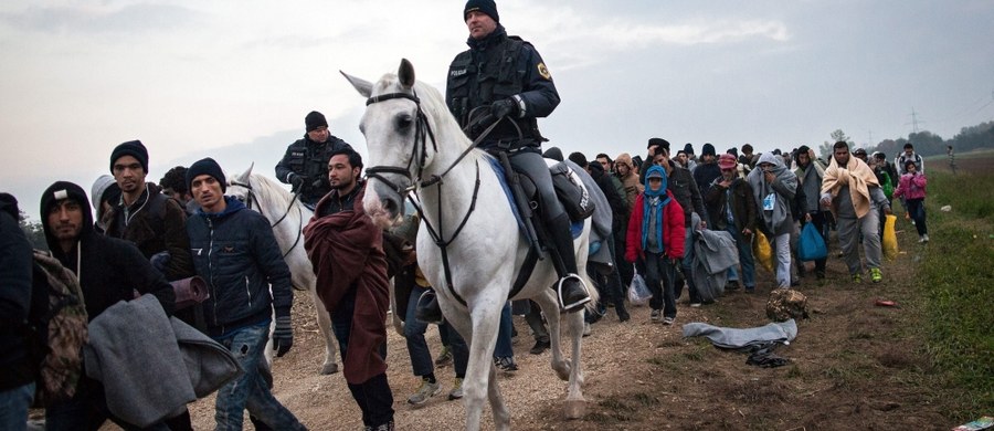 Austria zbuduje płot na granicy ze Słowenią w celu kontroli napływu migrantów - poinformowała austriacka minister spraw wewnętrznych Johanna Mikl-Leitner. Do dwumilionowej Słowenii w ciągu ostatnich 10 dni dotarło 84 tys. migrantów.