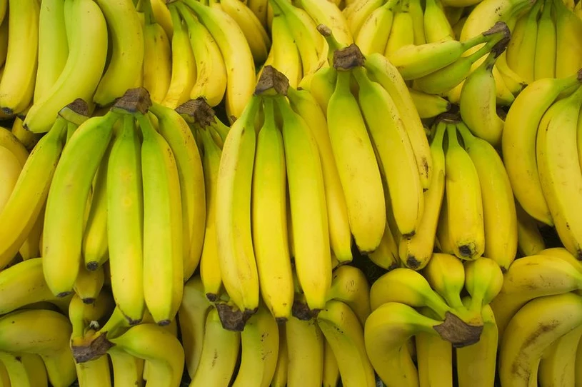 Czy naprawdę łączy nas z bananem 60% DNA? Fakty i mity tego pokrewieństwa