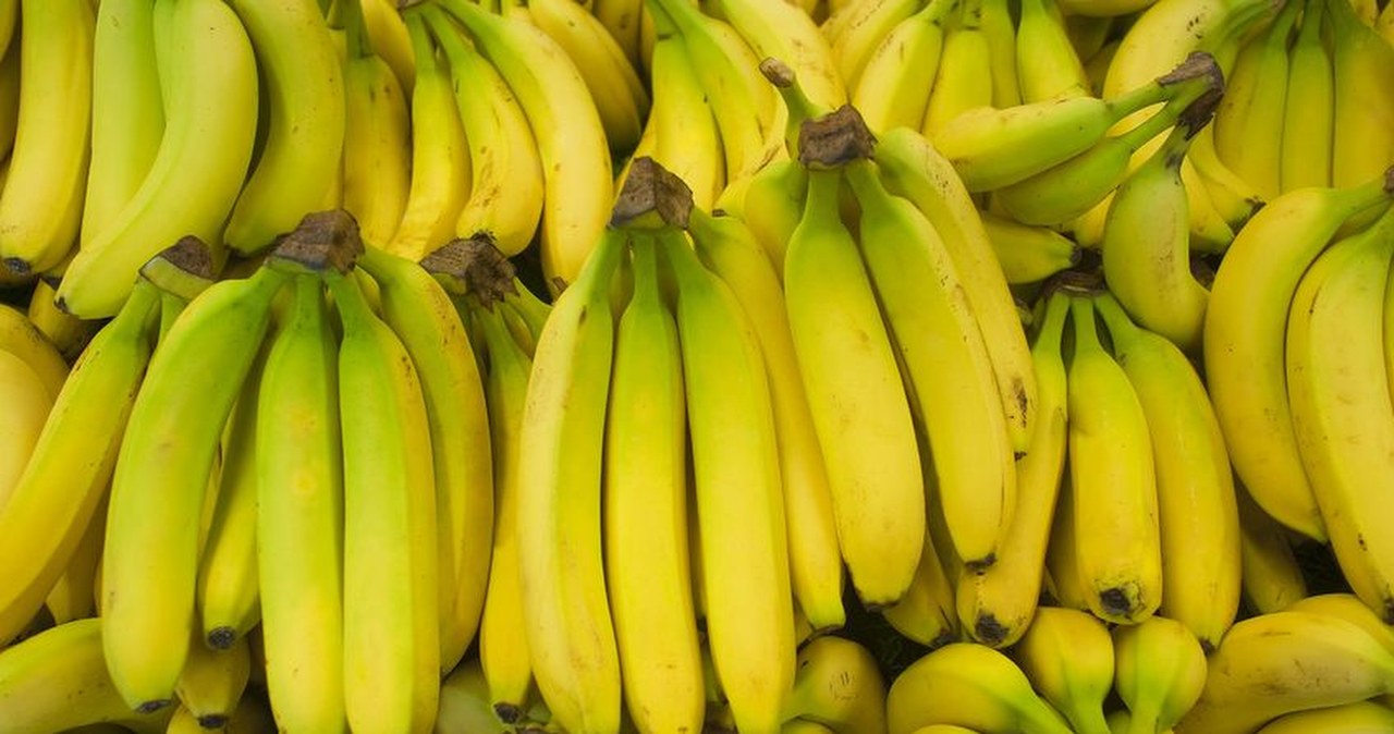 Czy naprawdę łączy nas z bananem 60% DNA? Fakty i mity tego pokrewieństwa