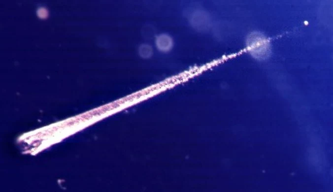 Meteor nad Atlantykiem u wybrzeży Brazylii