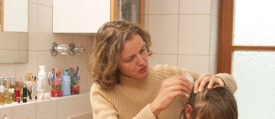 Alarmujące dane dotyczące wszawicy. Od września 2014 r. do września 2015 r. sprzedano ponad milion preparatów zwalczających pasożyty. To o 18 proc. więcej w stosunku do analogicznego okresu 2013–14 - czytamy w "Dzienniku Gazecie Prawnej". 