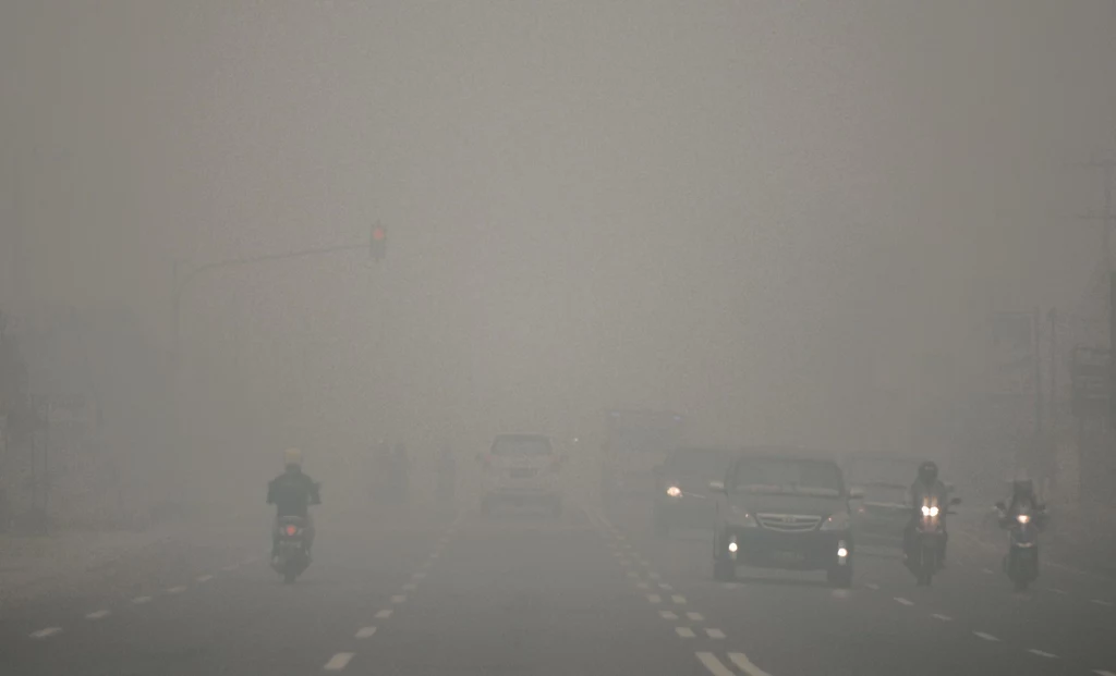 Smog może doprowadzić do sytuacji kryzysowej, na zdj. miasto Palangkaraya w Indonezji 