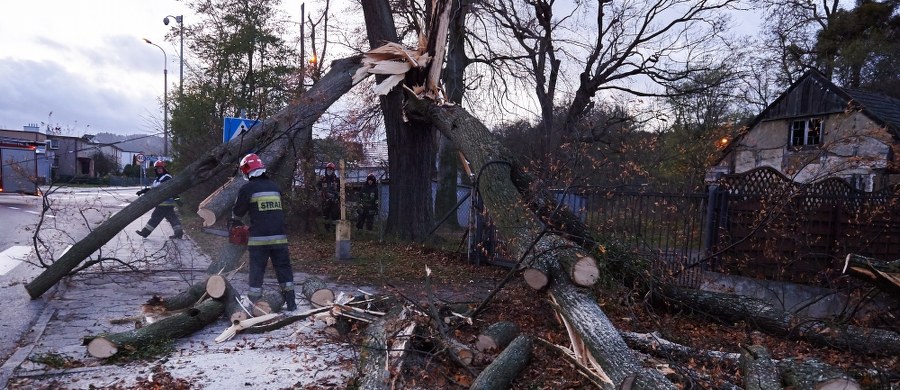 Ponad półtora tysiąca razy strażacy interweniowali w związku z wichurami, które od soboty przeszły nad Polską. Najwięcej pracy jest w północnej Polsce - zwłaszcza na Pomorzu. Zginęła jedna osoba, a kilka zostało rannych. 