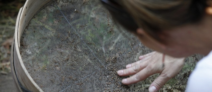 Kontrowersyjny wyrok zapadł w Dijon we Francji. Łowcy skarbów zostali skazani na trzy miesiące więzienia w zawieszeniu i 45 tysięcy euro grzywny za zorganizowanie nielegalnych wykopalisk archeologicznych w Burgundii. Będą musieli oddać ponad dwa tysiące znalezionych tam srebrnych galijskich monet, których wartość przekracza ćwierć miliona euro. 