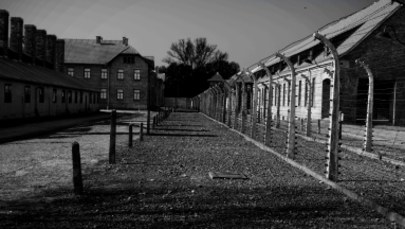 Robili remont mieszkania. Znaleźli dokumenty dotyczące Holocaustu węgierskich Żydów 