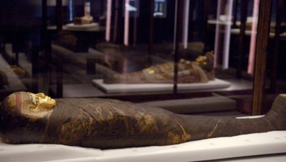 Muzeum będzie ostrzegać przed… mumiami