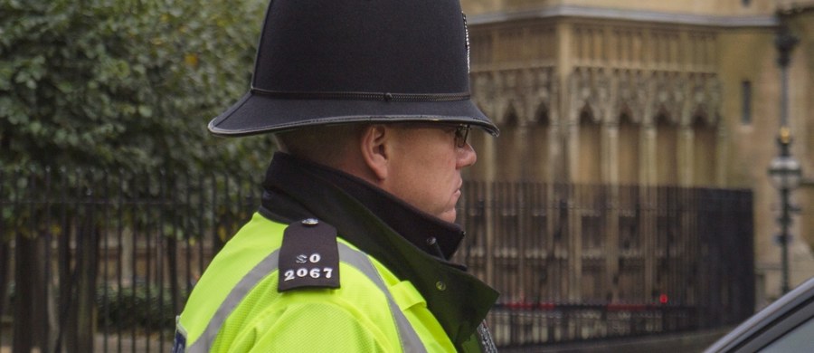Brytyjska policja aresztowała czterech mężczyzn w Luton, na północ od Londynu, pod zarzutem podżegania i planowania zamachów terrorystycznych - poinformował Scotland Yard. Podkreślono, że zatrzymani nie są powiązani z listopadowymi zamachami w Paryżu.