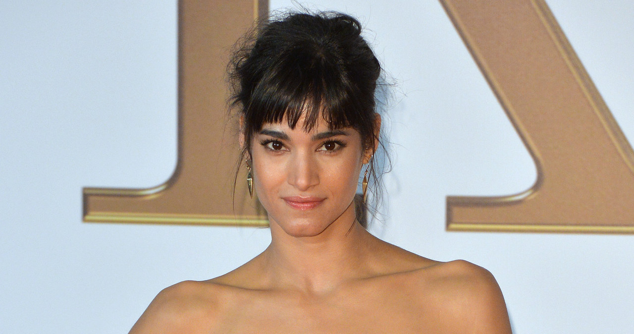 Sofia Boutella, którą mogliśmy niedawno oglądać na ekranach kin w filmie "Kingsman. Tajne służby", zagra główną rolę w planowanym przez wytwórnię Universal wznowieniu serii "Mumia" - poinformował "Hollywood Reporter".