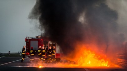 Rekordowa liczba pożarów w Polsce. Tylko w środę - ponad 240