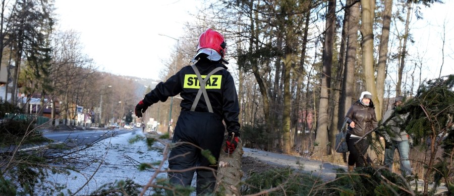 16 tysięcy odbiorców bez prądu i ponad 1100 strażackich interwencji - to efekty wichur, które przechodzą nad Polską. Najmocniej wieje na wschodzie kraju, ale według ostrzeżeń IMGW wiatr powoli ma słabnąć.