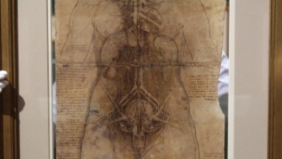 "Leonardo Da Vinci uznawał człowieka za sztukę. Kult ciała był ogromny”