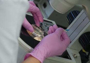 RPO alarmuje: In vitro będzie dostępne tylko dla zamożnych