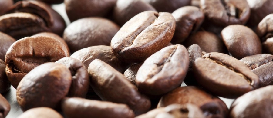 Młody Japończyk zmarł z powodu zatrucia kofeiną po spożyciu dużej ilości napojów zawierających tę substancję - poinformowali naukowcy z Uniwersytetu Fukuoka. Mężczyzna starał się walczyć z długotrwałym zmęczeniem.