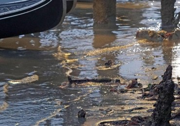 Susza w Wenecji. Po kanałach nie mogą pływać gondole i motorówki