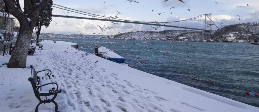 Tureckie linie Turkish Airlines odwołały ponad 300 lotów z i do Stambułu w czwartek z powodu śnieżyc, które przeszły w nocy nad tą turecką metropolią.