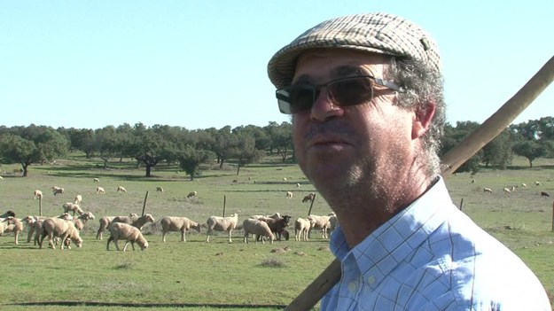 Pastwisko, stado owiec i charakterystyczne brzęczenie dzwonków. W portugalskim regionie Alentejo często można usłyszeć taki dźwięk. – Dobrze się czuję, gdy słyszę dzwonki. Moje owce mogą odejść daleko, a ja wciąż wiem, gdzie są – mówi pasterz Adelino Timoteo. 


Dzwonki, które noszą owce Adelino pochodzą z Alcasovas. W tej niewielkiej portugalskiej miejscowości dzwonki wyrabiane są od stuleci. Teraz ta sztuka rzemieślnicza została wpisana na listę niematerialnego dziedzictwa kulturowego UNESCO. 