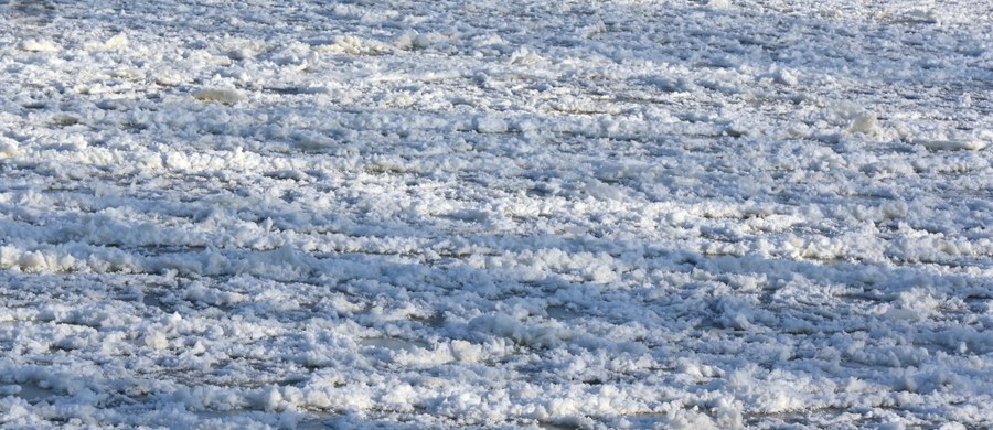 "W ciągu najbliższych dwóch dni zjawiska lodowe na rzekach zaczną się rozwijać, a potem będą powoli zanikać" - mówi w rozmowie z RMF FM hydrolog Marianna Sasim. "Według naszych prognoz na rzekach będzie bezpiecznie"- dodaje. Jednocześnie wylicza, że Wisła jest obecnie pokryta lodem w ok. 80 proc. 