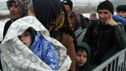 Polska gotowa przyjąć do końca marca 100 uchodźców z obozów w Grecji